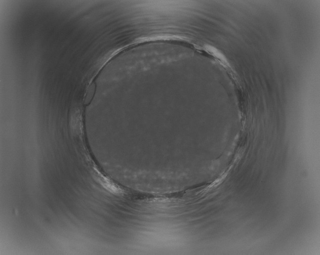 X0000074011177200609061042