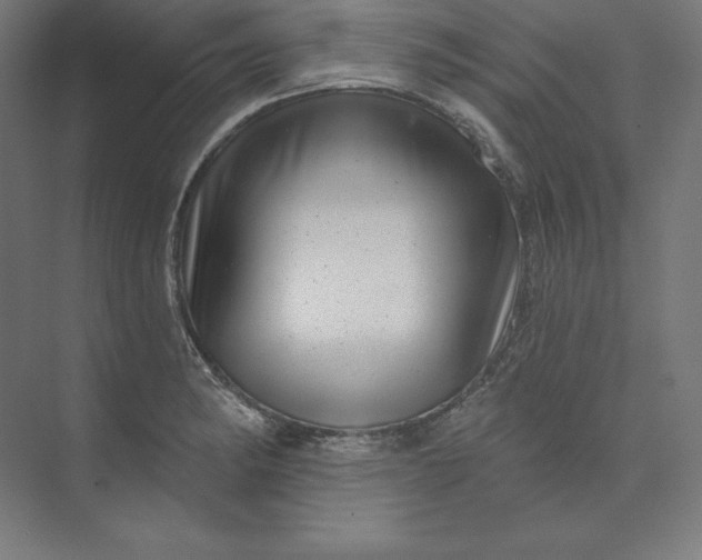 X0000074011182200609061042