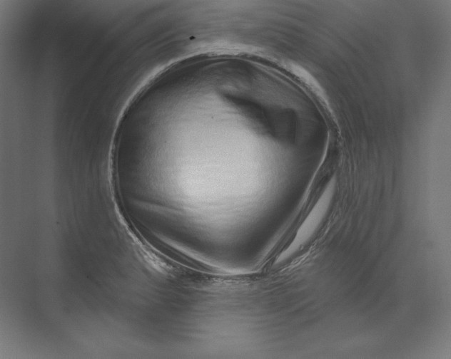 X0000074011183200609061042