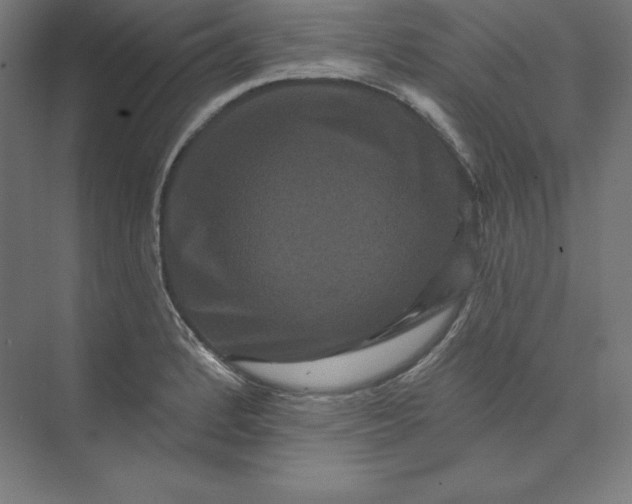 X0000074011184200609061042