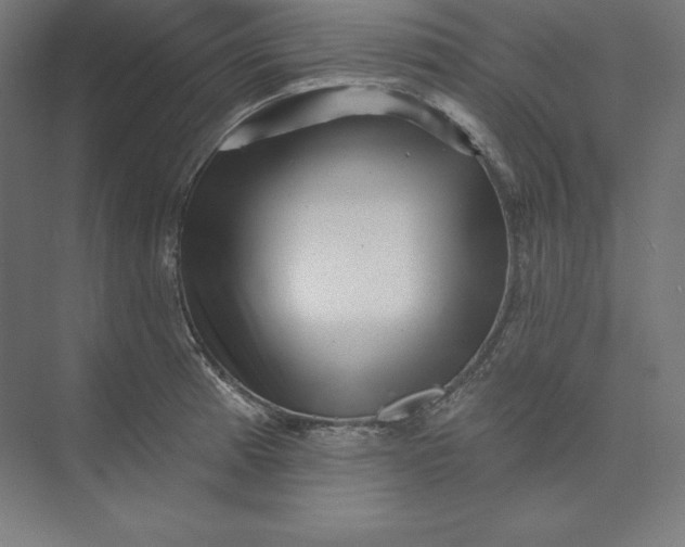 X0000074011185200609061042