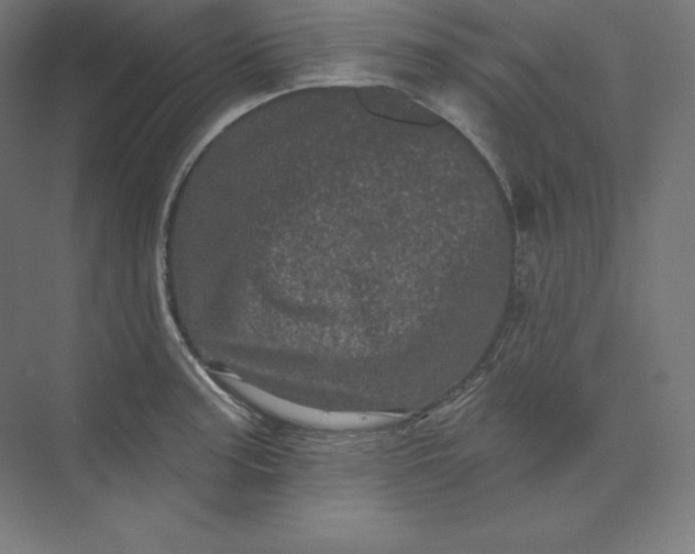 X0000074011187200609061041