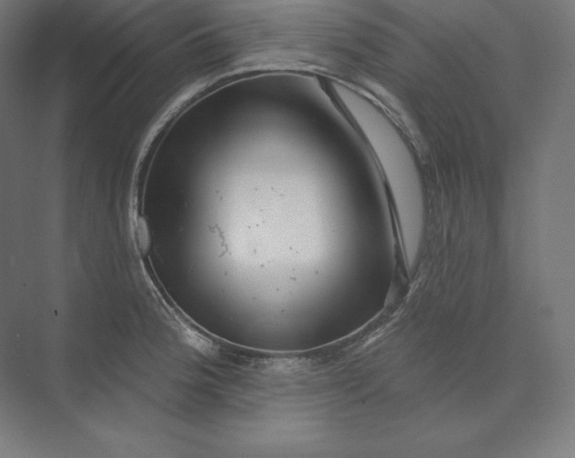 X0000074011188200609061041