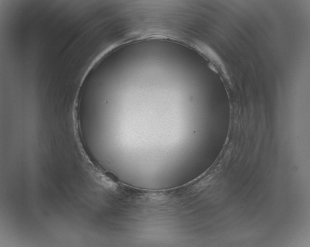 X0000074011190200609061041