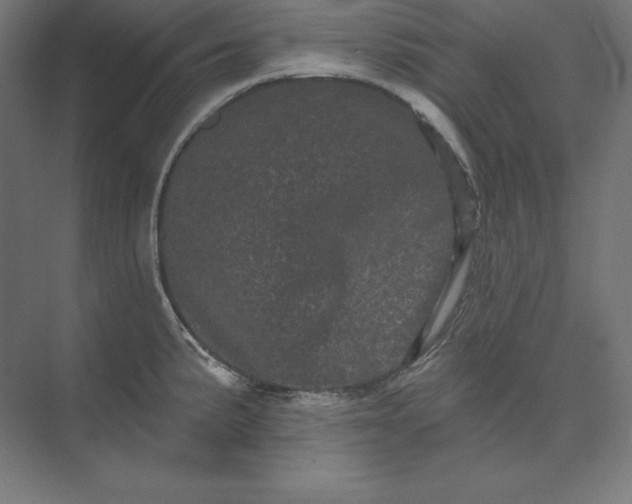 X0000074011191200609061041