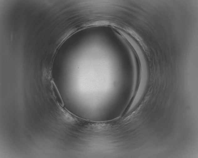 X0000074011193200609061041