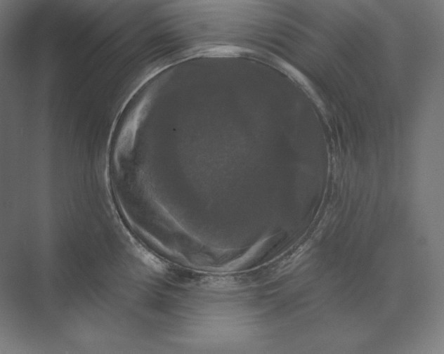 X0000074011194200609061041