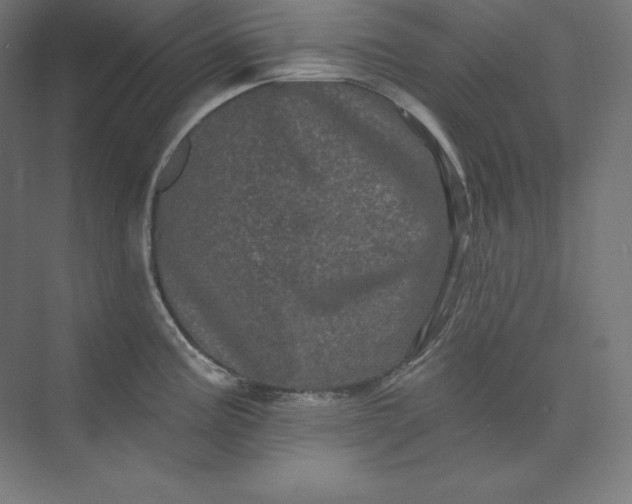 X0000074011195200609061041