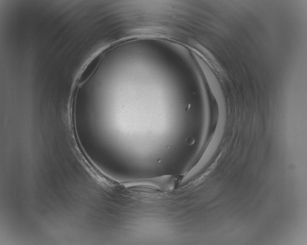 X0000074011196200609061041