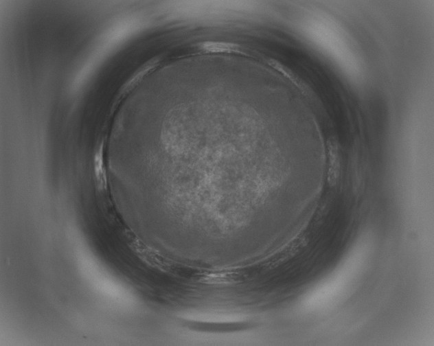 X0000074011198200609061041