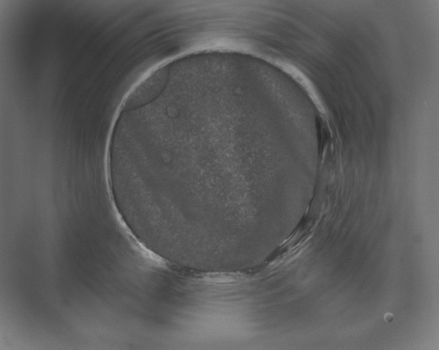 X0000074011199200609061041