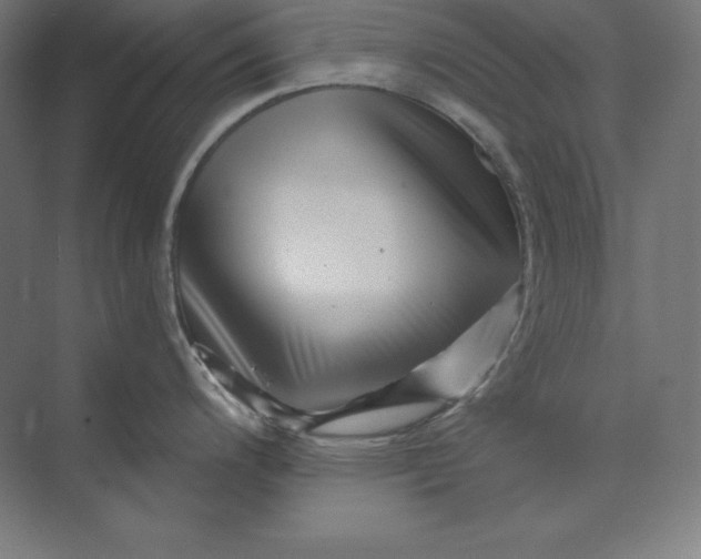 X0000074011200200609061041