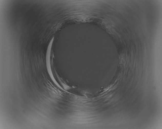 X0000074011202200609061040