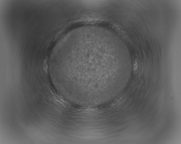 X0000074011204200609061041