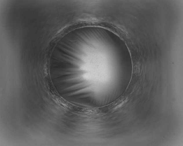 X0000074011205200609061041