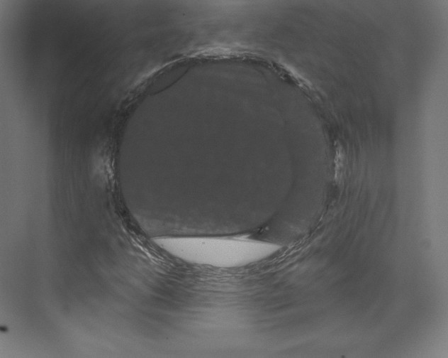 X0000074011206200609061041