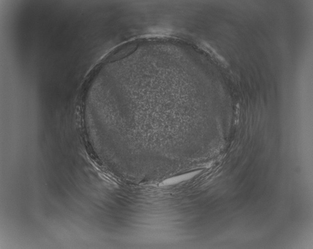 X0000074011208200609061041