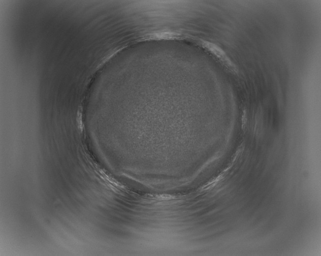 X0000074011209200609061041