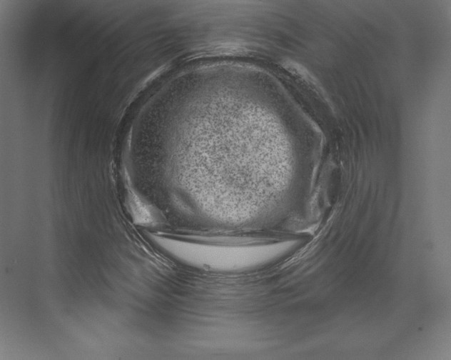 X0000074011210200609061041