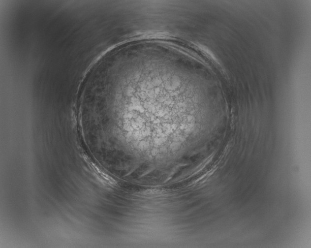 X0000074011212200609061041