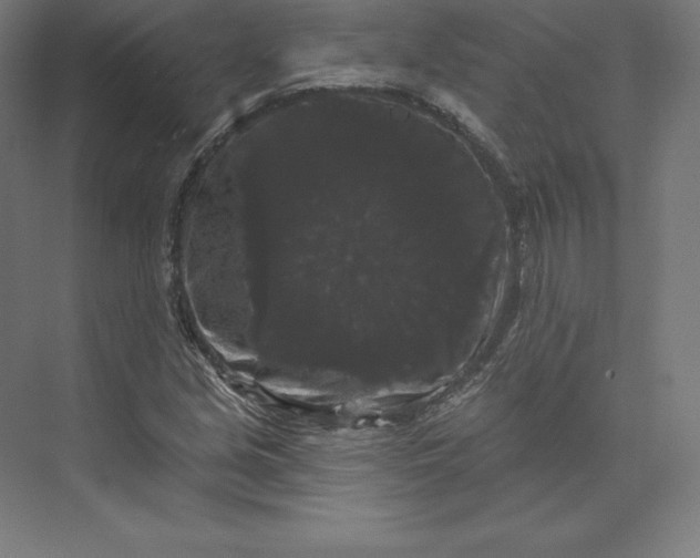 X0000074011213200609061041