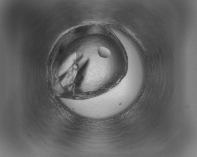 X0000074011214200609061041