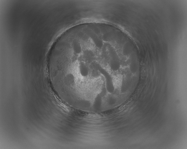 X0000074011215200609061041