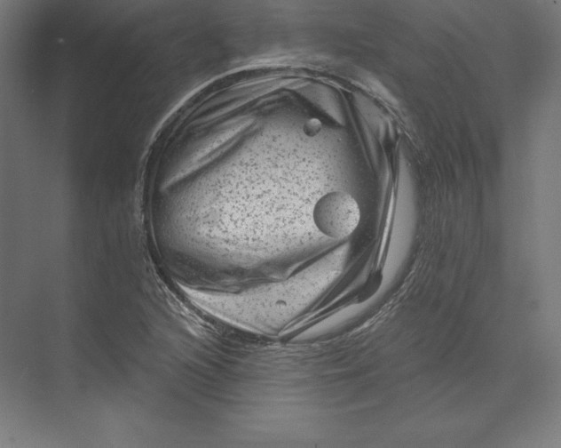 X0000074011216200609061041