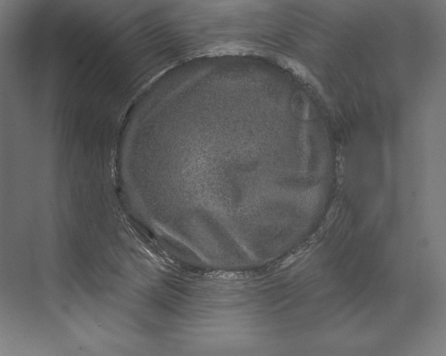 X0000074011217200609061041