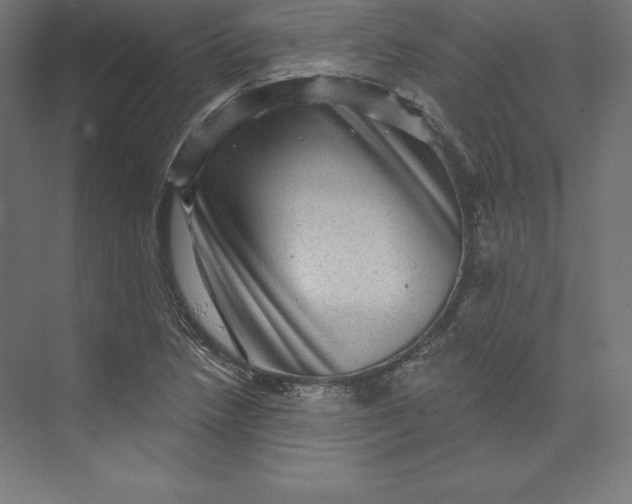 X0000074011218200609061041