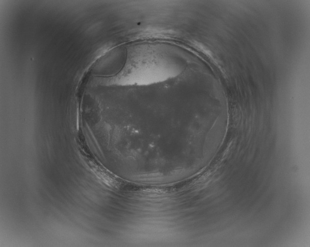 X0000074011219200609061041