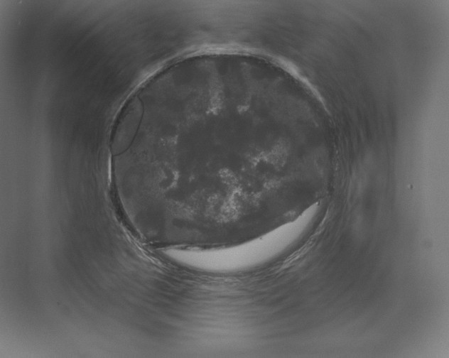 X0000074011221200609061041