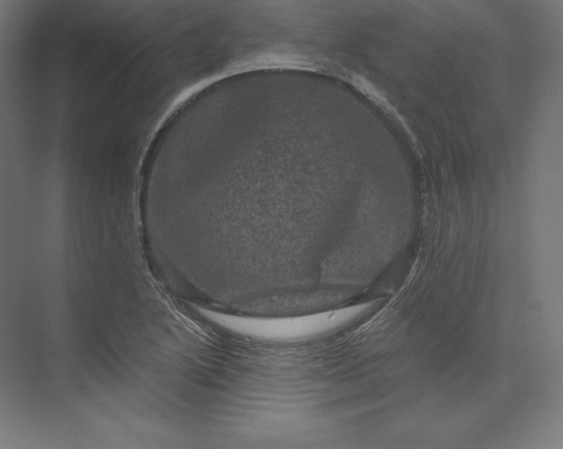 X0000074011222200609061041