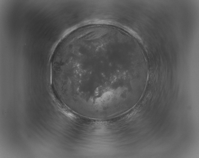 X0000074011223200609061041