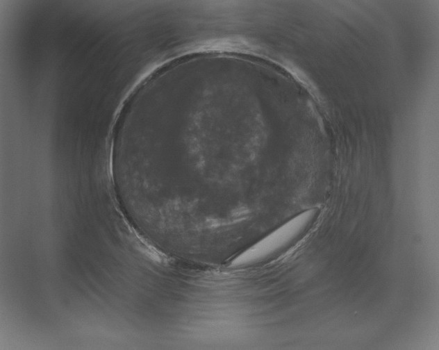 X0000074011224200609061041