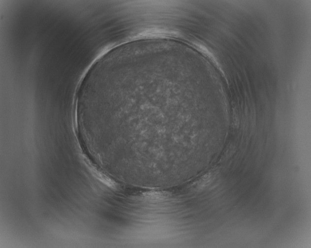 X0000074011227200609061041