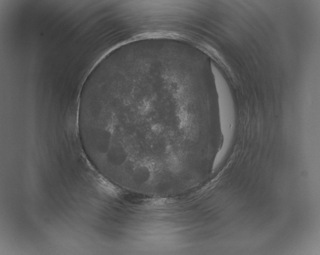 X0000074011228200609061041