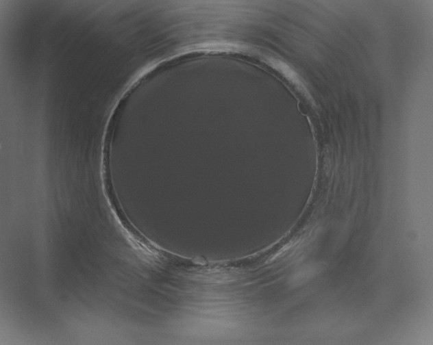 X0000074011229200609061041