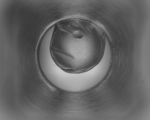 X0000074011230200609061041