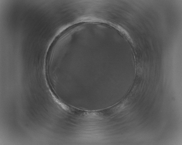 X0000074011231200609061041