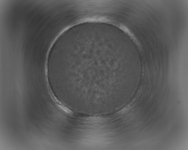 X0000074011232200609061041