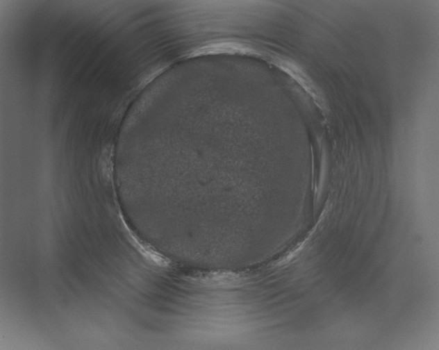 X0000074011233200609061041