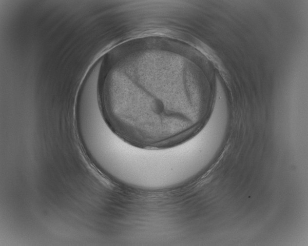 X0000074011234200609061041