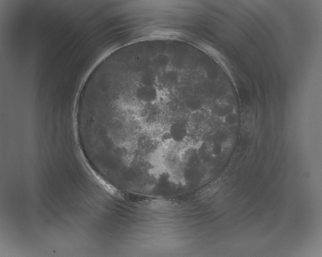 X0000074011235200609061041