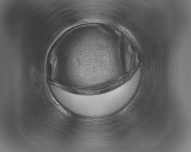 X0000074011236200609061041