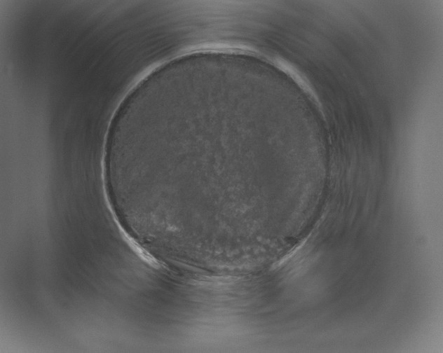 X0000074011237200609061041