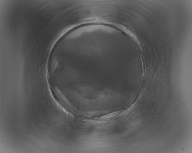 X0000074011239200609061041