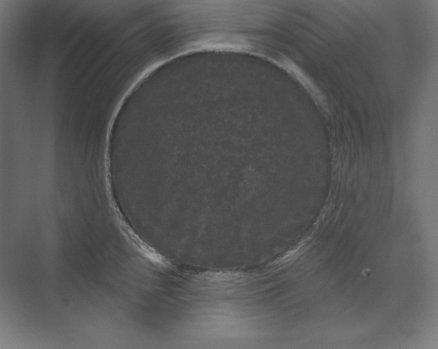 X0000074011240200609061041