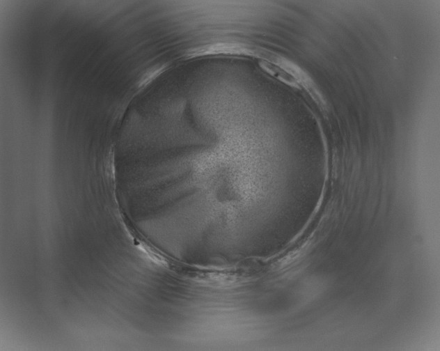 X0000074011241200609061041