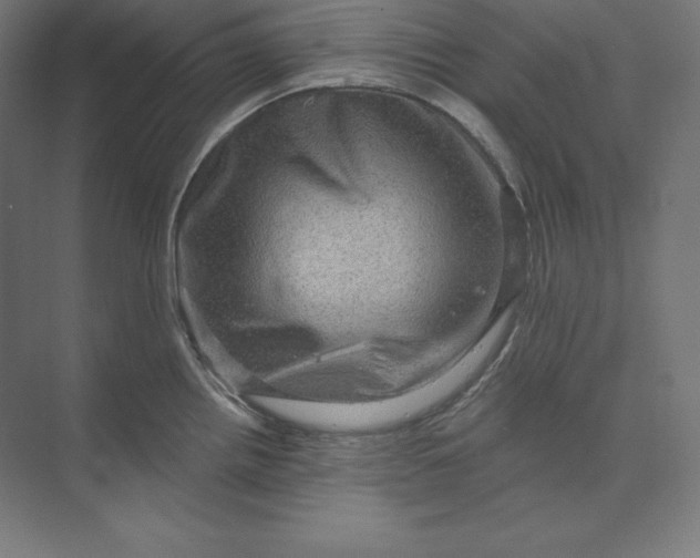 X0000074011242200609061041